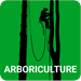 Arboriculture